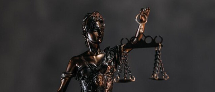 quidem_webassets_constitucionales_750